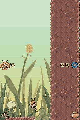 DS Screenshots