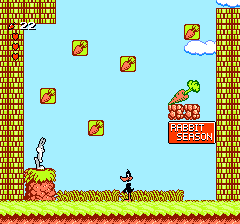 NES Screenshots