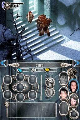 DS Screenshots