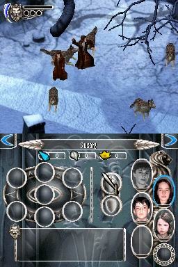 DS Screenshots