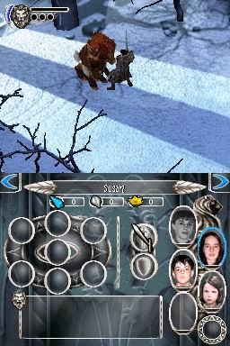 DS Screenshots