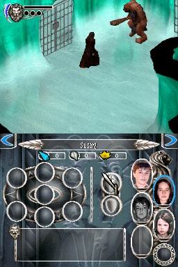 DS Screenshots