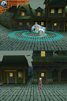 DS Screenshots