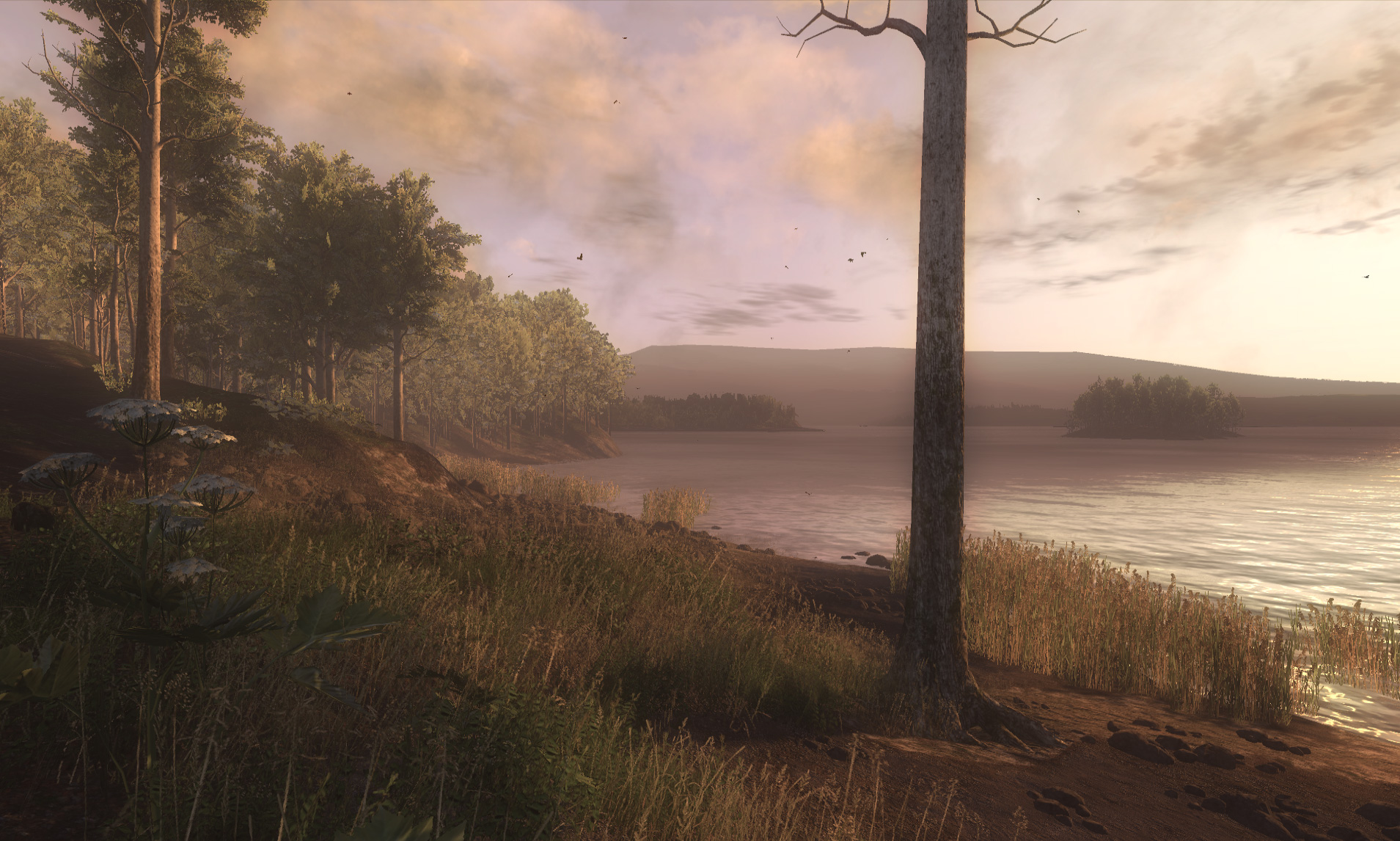 WiP Screenshots