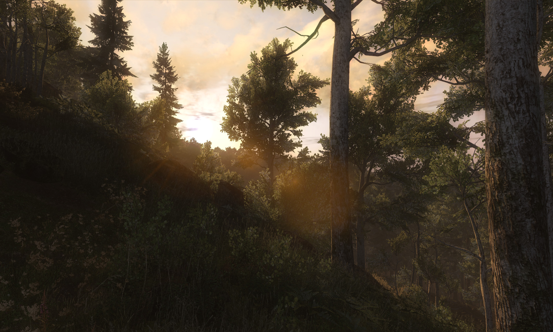 WiP Screenshots