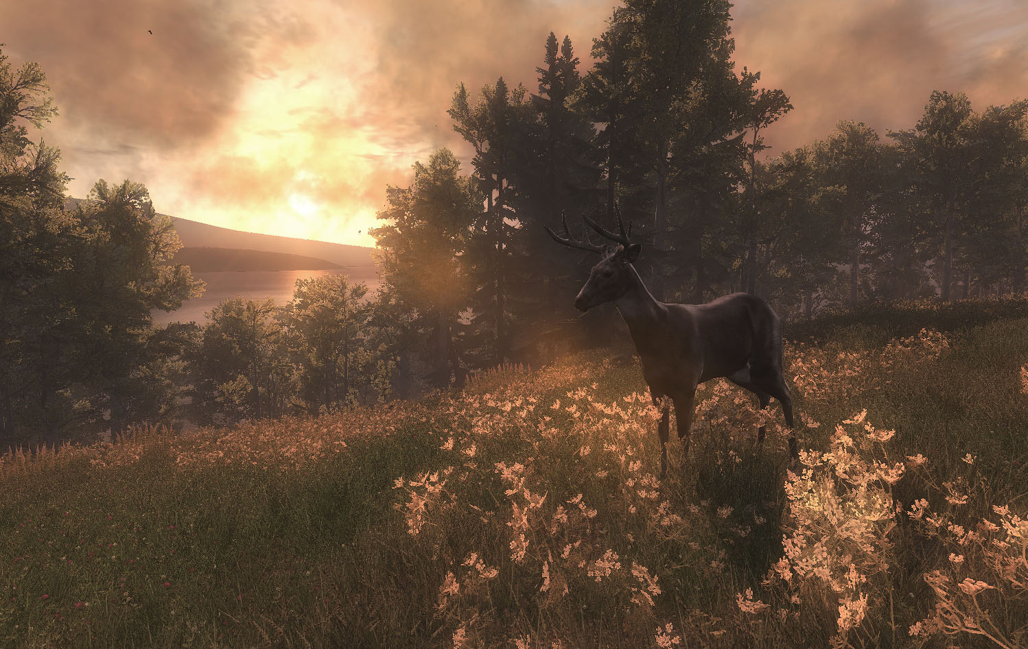 WiP Screenshots