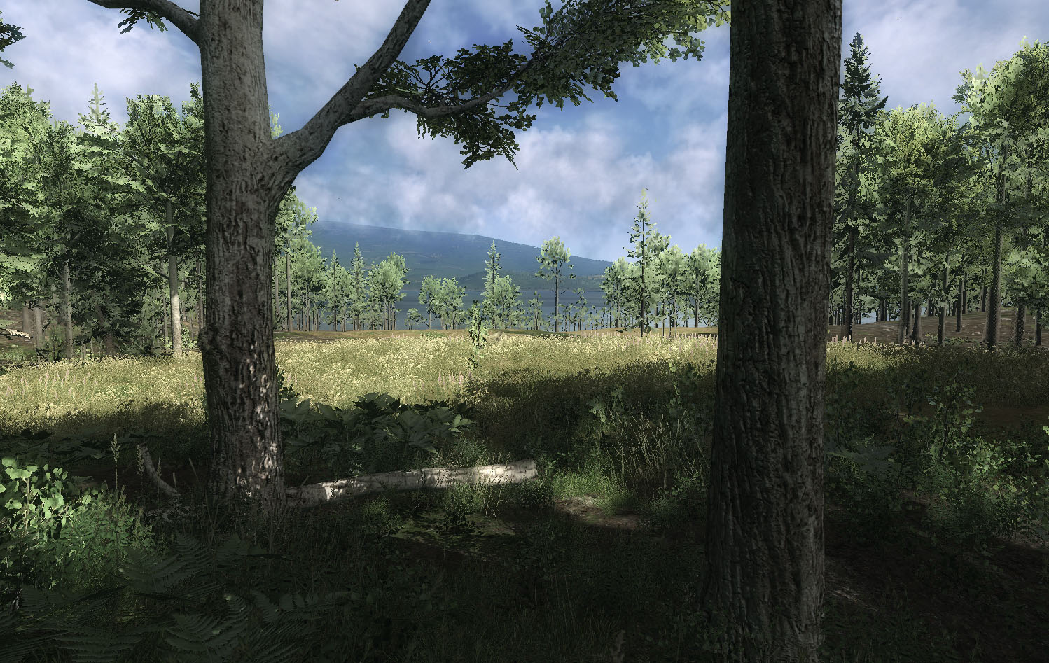 WiP Screenshots