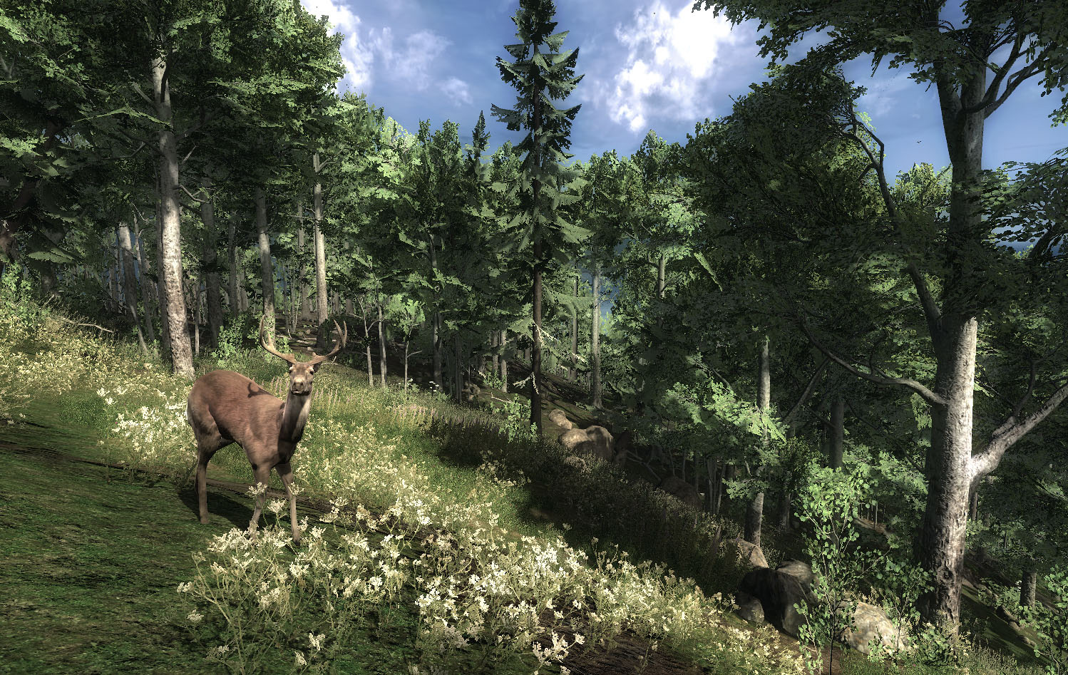 WiP Screenshots