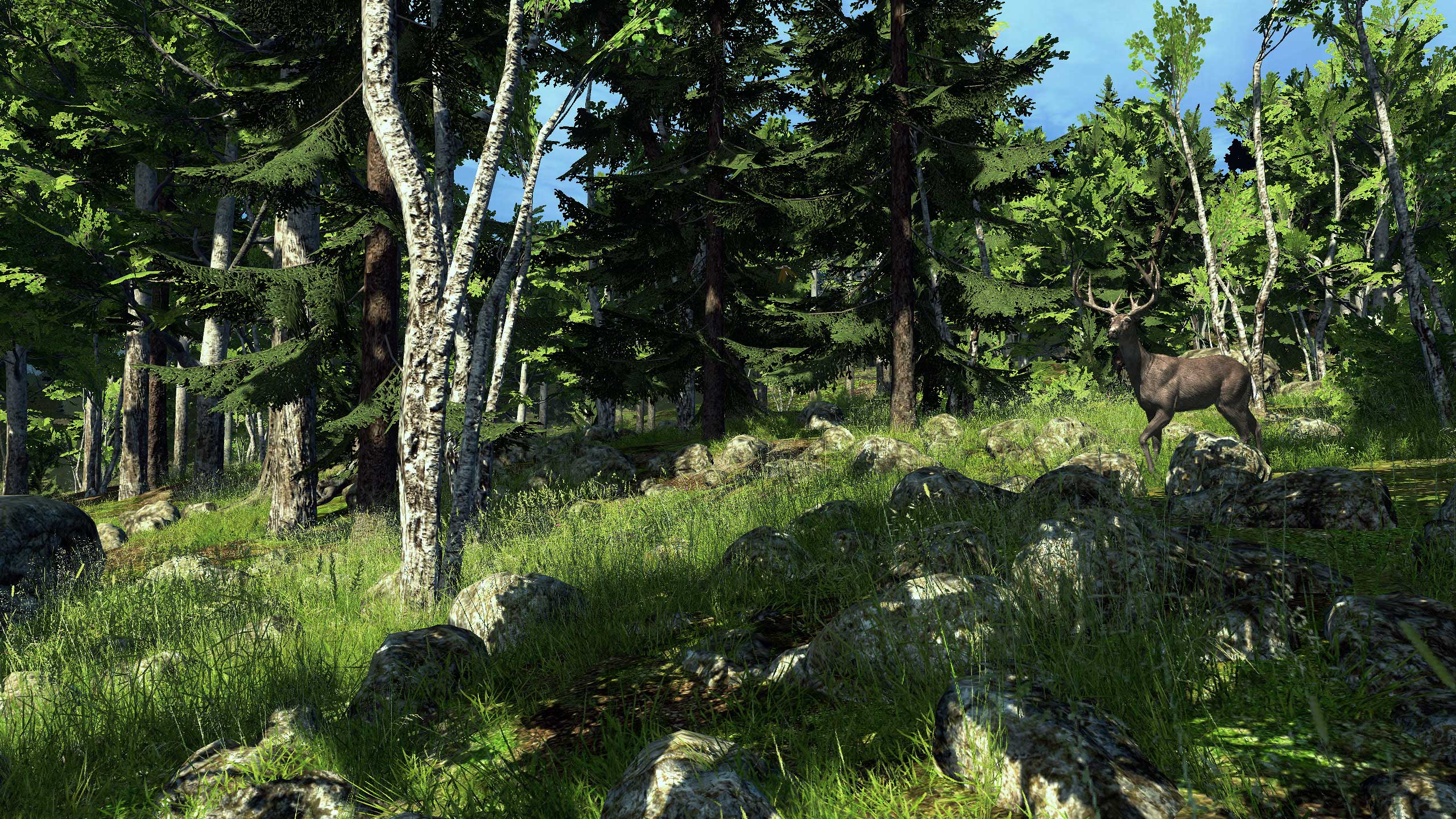 WiP Screenshots