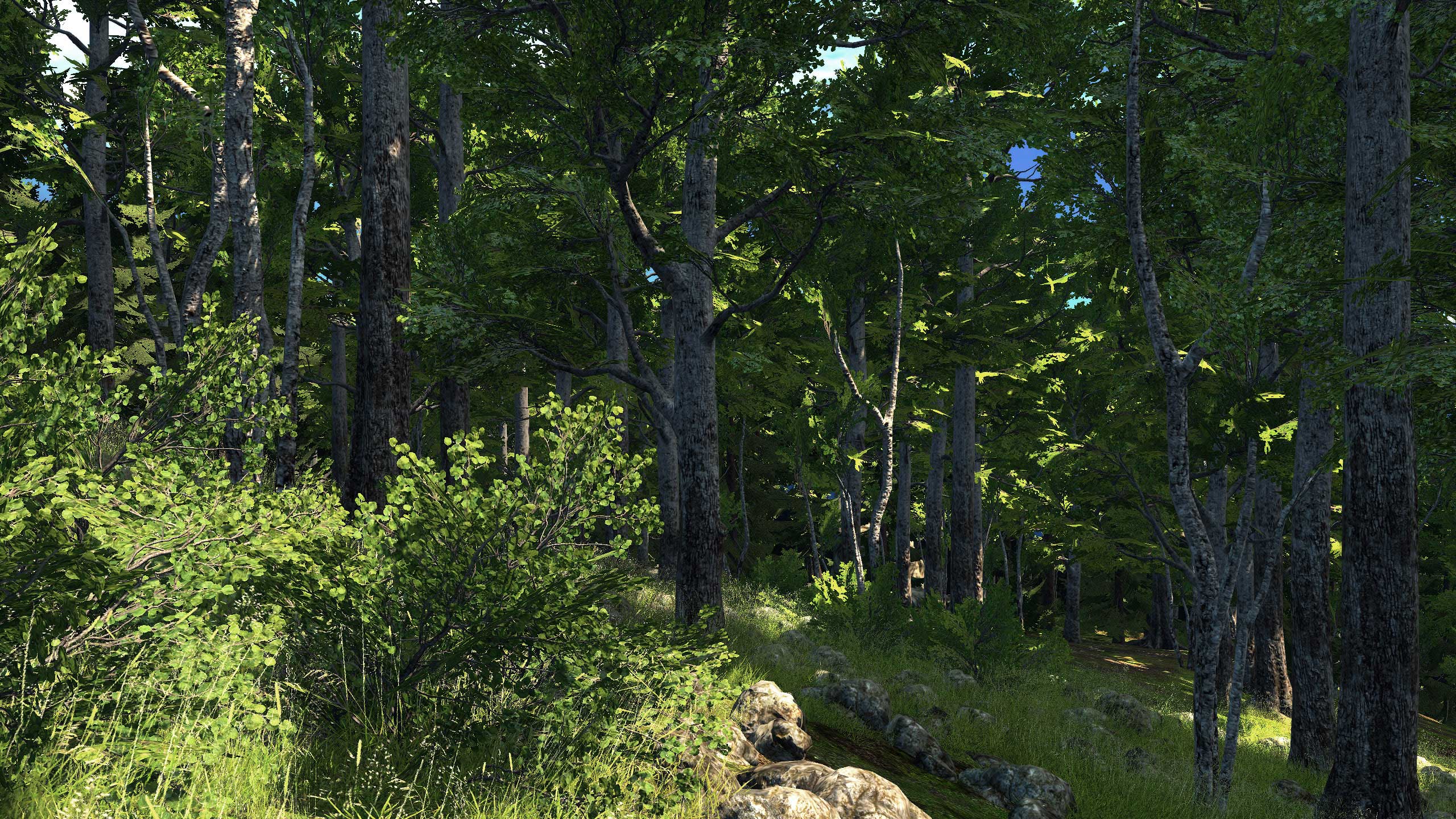 Screenshots