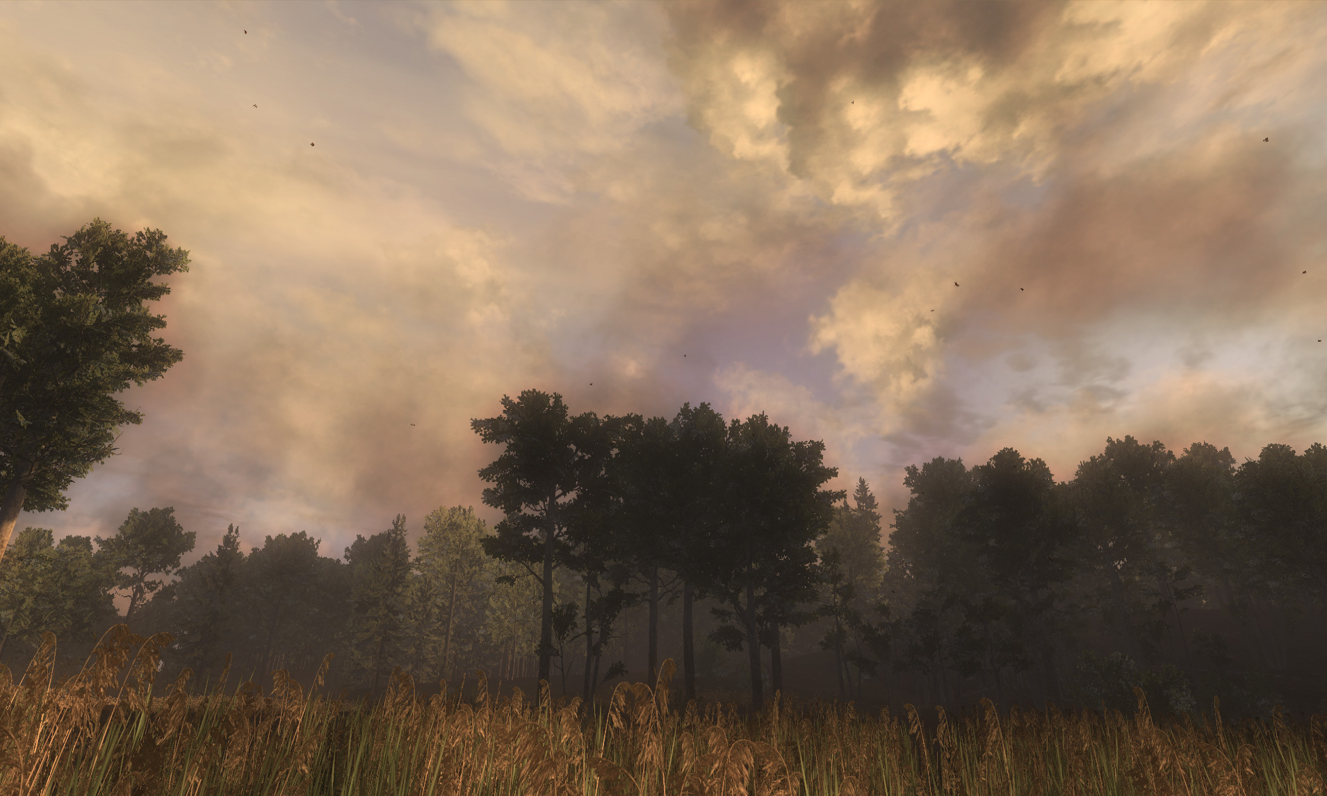 WiP Screenshots