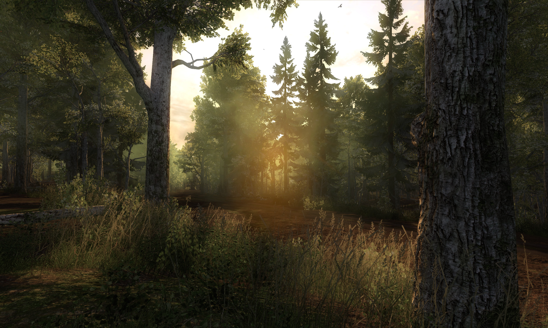 WiP Screenshots