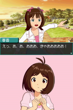 DS Screenshots