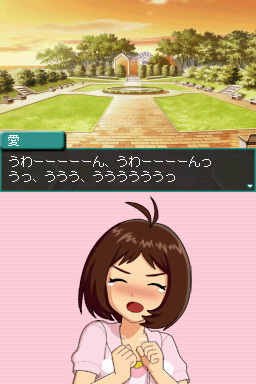 DS Screenshots