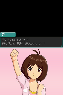 DS Screenshots