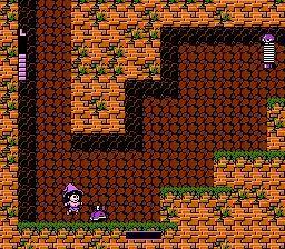 NES Screenshots