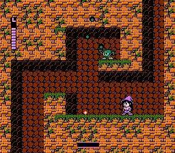 NES Screenshots