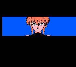 NES Screenshots