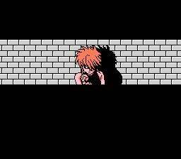 NES Screenshots