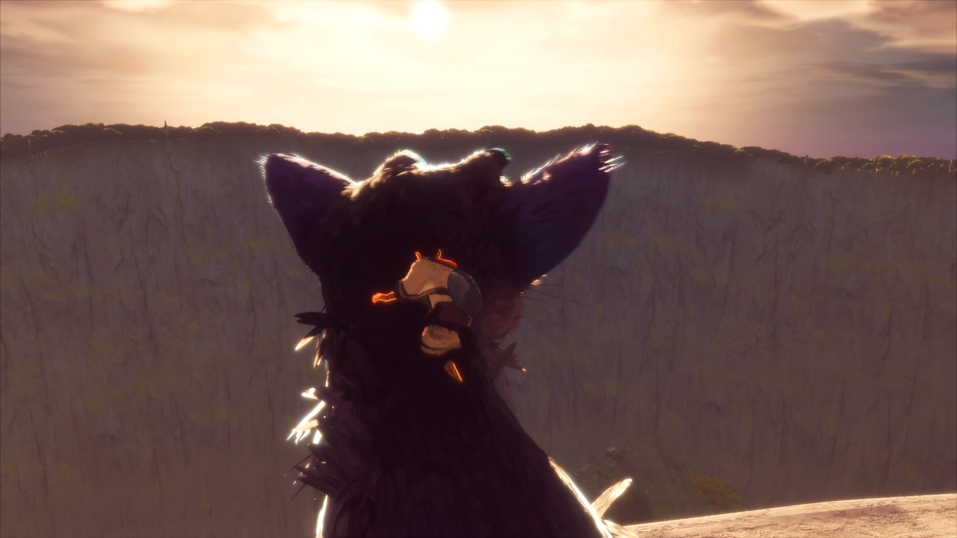 PS4 Screenshots