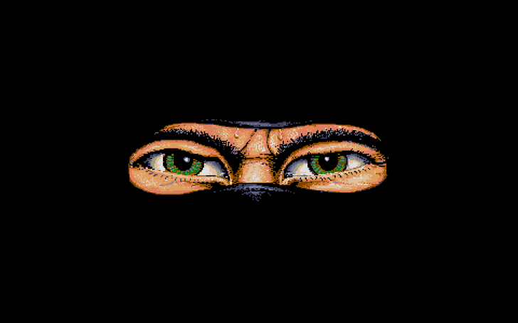 The Last Ninja