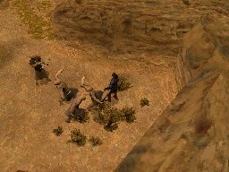 DS Screenshots