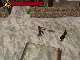 DS Screenshots