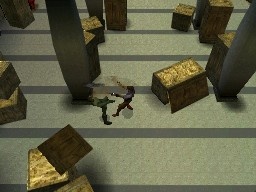 DS Screenshots