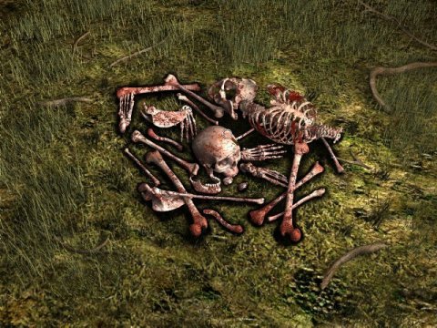 The Mystery of the Druids