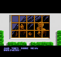 NES Screenshots