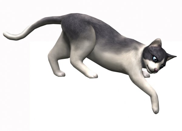 Concept Art