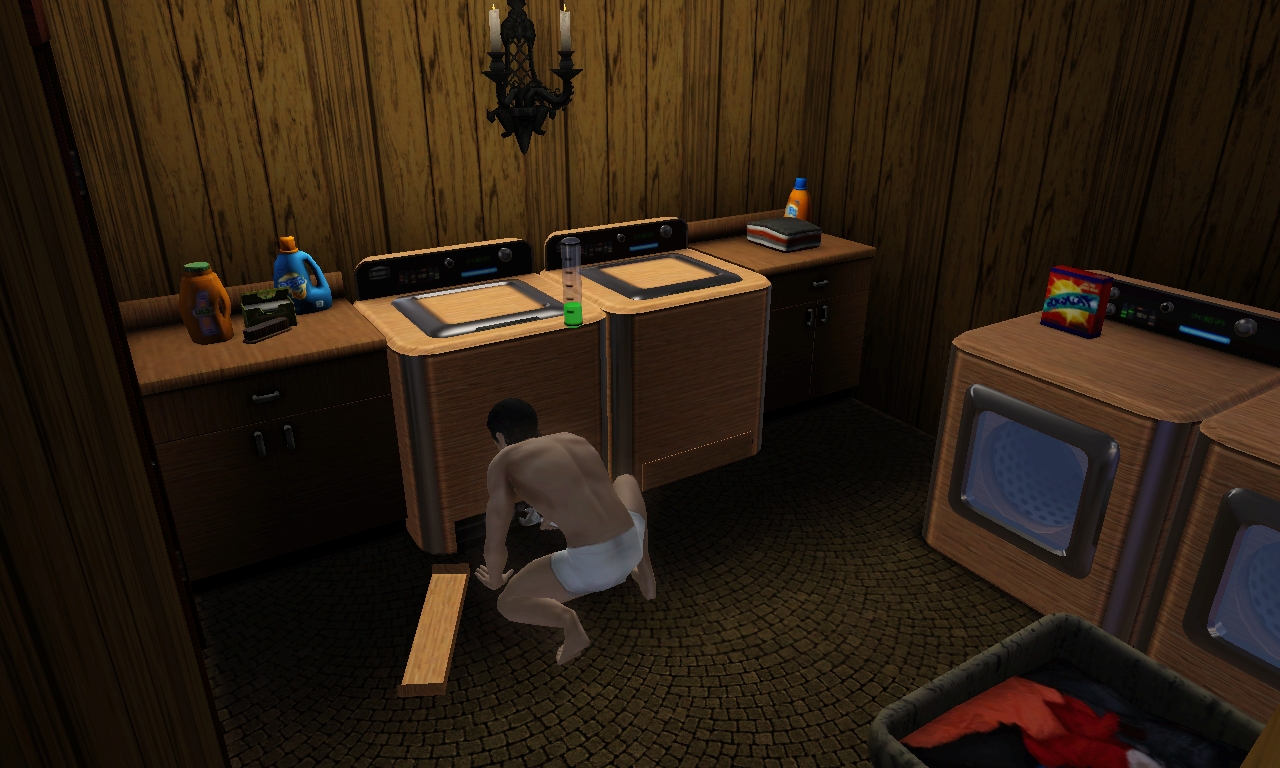 The Sims 3