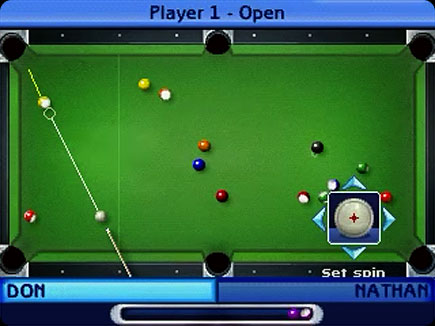 The Sims Pool