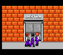 NES Screenshots