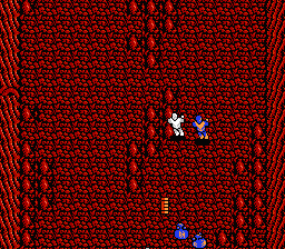 NES Screenshots