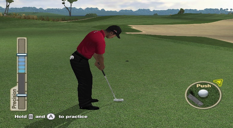 Tiger Woods PGA Tour 10 Wii