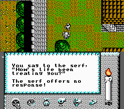 NES Screenshots