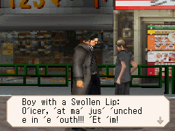 DS Screenshots