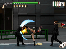 DS Screenshots