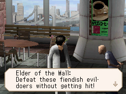 DS Screenshots