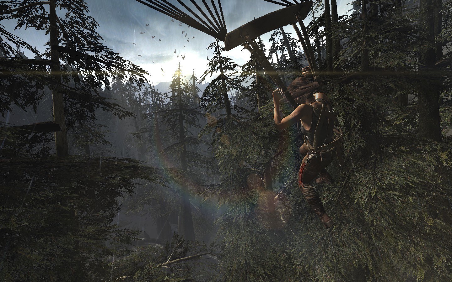Tomb Raider (2013)