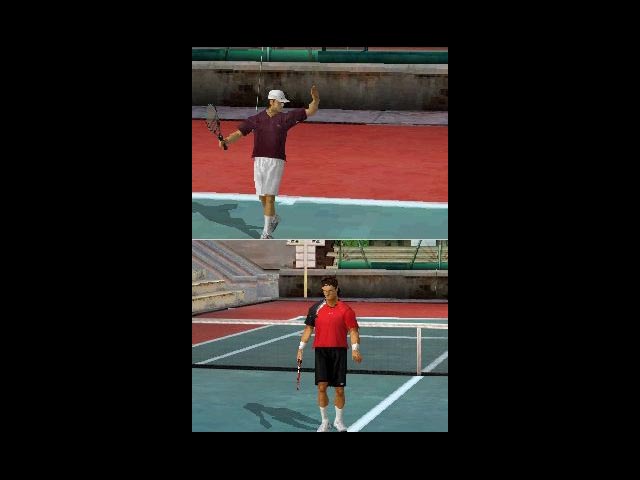 DS Screenshots