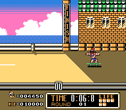 NES Screenshots