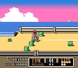 NES Screenshots