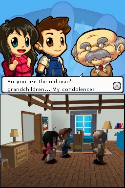 DS Screenshots