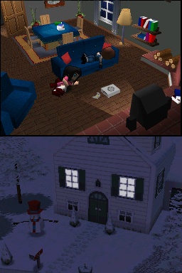 DS Screenshots