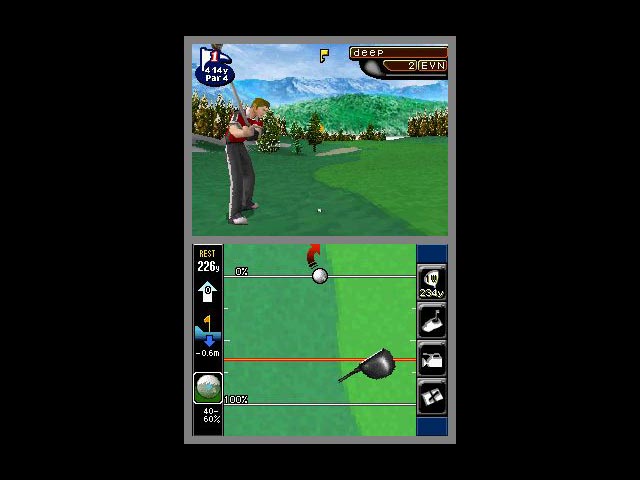 DS Screenshots
