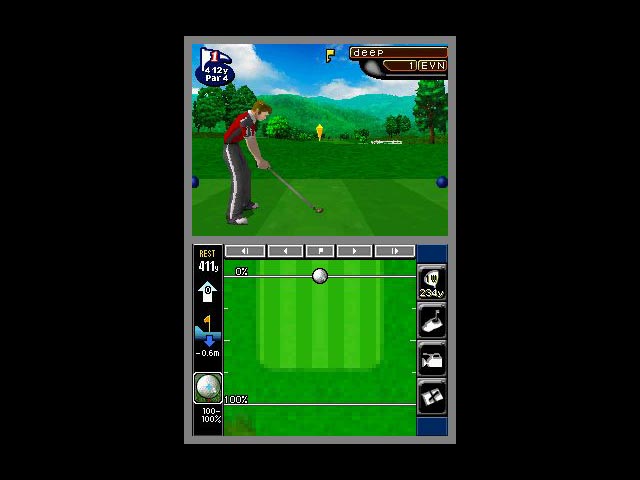 DS Screenshots