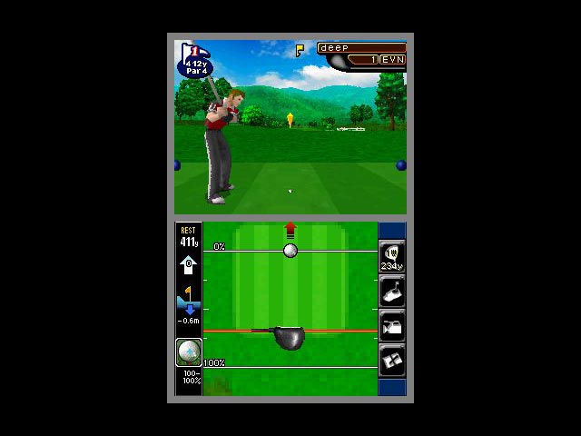DS Screenshots