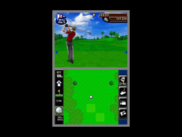 DS Screenshots